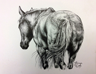 "I Dream of Dallas" by Lauryn Wood