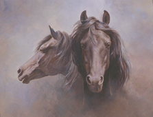 "Black Stallion" by Fred Stone