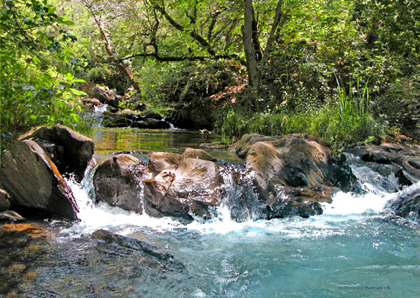 "Secret Paradise" by Julie & Craig Morton